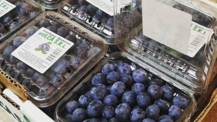 FOTOS-ILUSTRATIVAS-2025-10-22T082540.323-1536x864