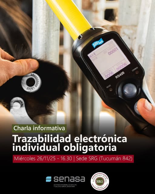 585371567_1147769104186655_2656106265085117324_n