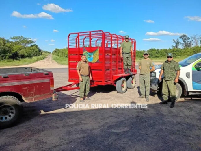 1462252w480h360c.jpg (1)