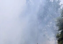 El fuego destruyó una vivienda y puso en peligro casas lindantes