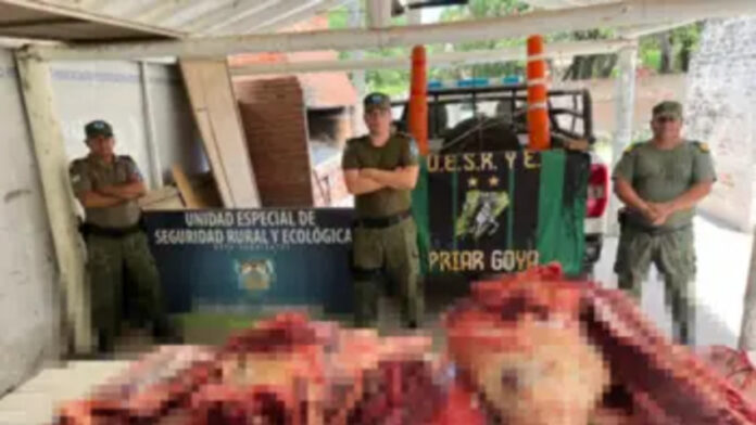 1765046225707 (2) (1)