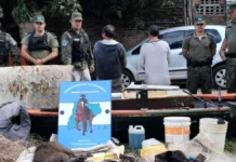 Caza furtiva en Corrientes: dos hombres atacaron a policías y fueron detenidos