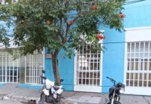 Insólito: escribana certificó venta de un vehículo de una persona fallecida