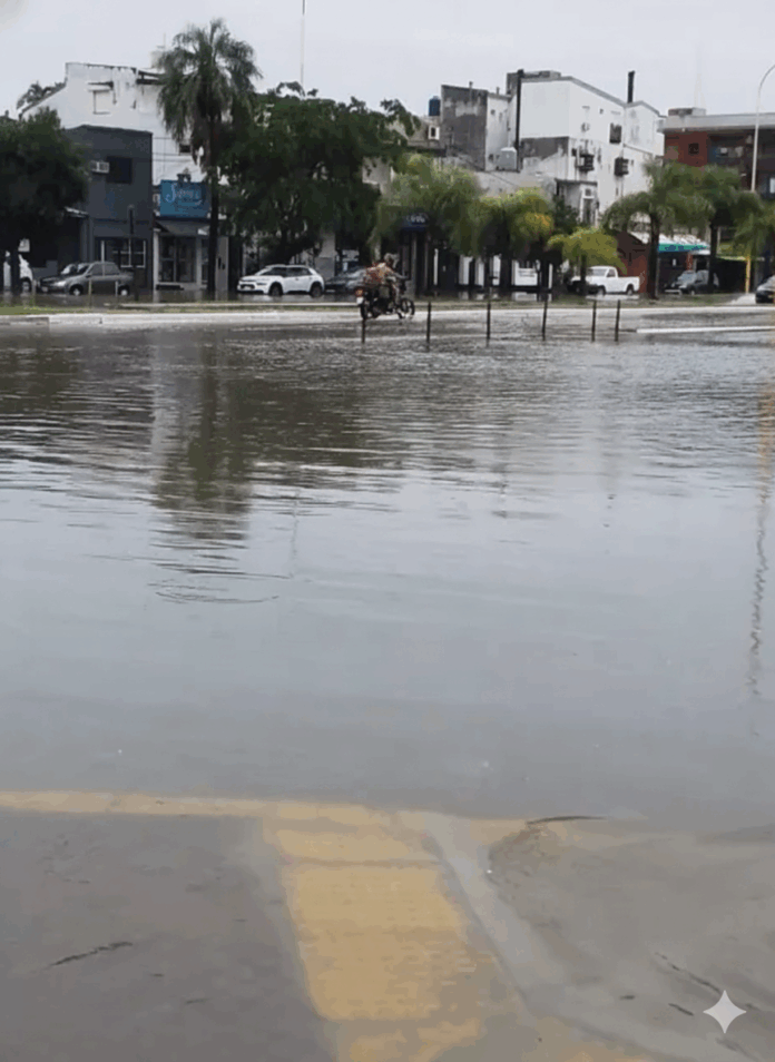 1766690393432