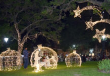 Navidad en Plaza Mitre: Luces, historia y el armado detrás del gran arbolito