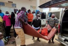 Brote de ébola en África: la OMS declaró la emergencia sanitaria a nivel mundial