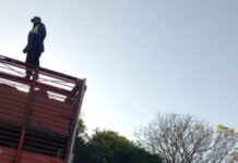 GUAYQUIRARÓ: Detectaron irregularidades en el traslado de hacienda durante control policial sobre Ruta12