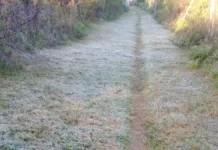 Corrientes registró heladas agrometeorológicas y temperaturas mínimas de 3,2°C