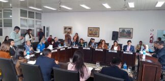 En Sesión Ordinaria, el HCD de Goya estableció el sentido de circulación de la calle Brasil