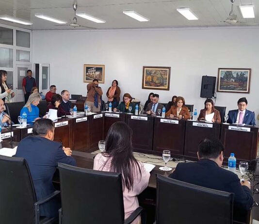 En Sesión Ordinaria, el HCD de Goya estableció el sentido de circulación de la calle Brasil