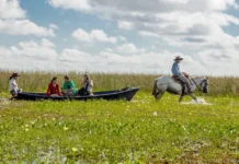 Los Esteros del Iberá impulsaron el movimiento turístico correntino