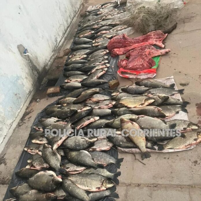 pesca ilegal
