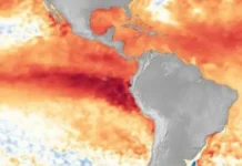 El Niño llegaría a finales de la primavera o principios del verano