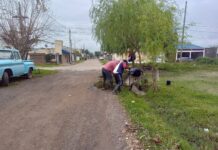 PRODEGO se encuentra realizando tareas de rectificación y mantenimiento en zona sur
