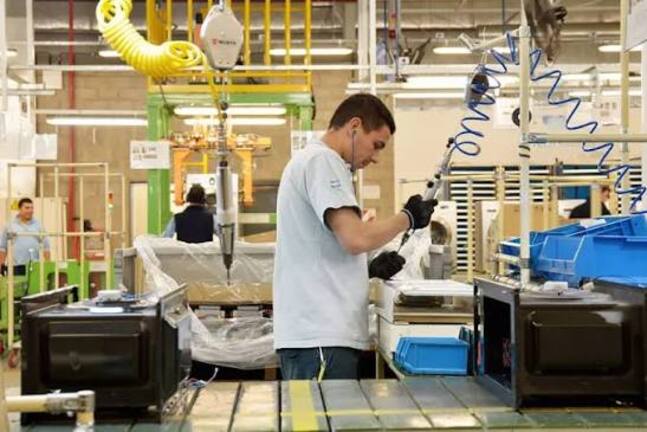 actividad economica