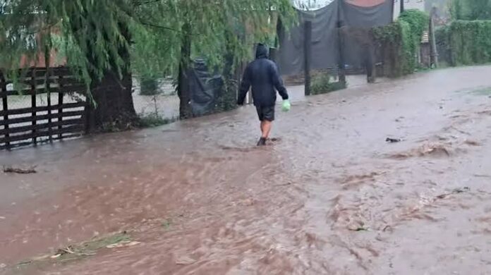 agencia federal de emergencias