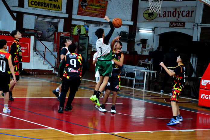 basquet goyano