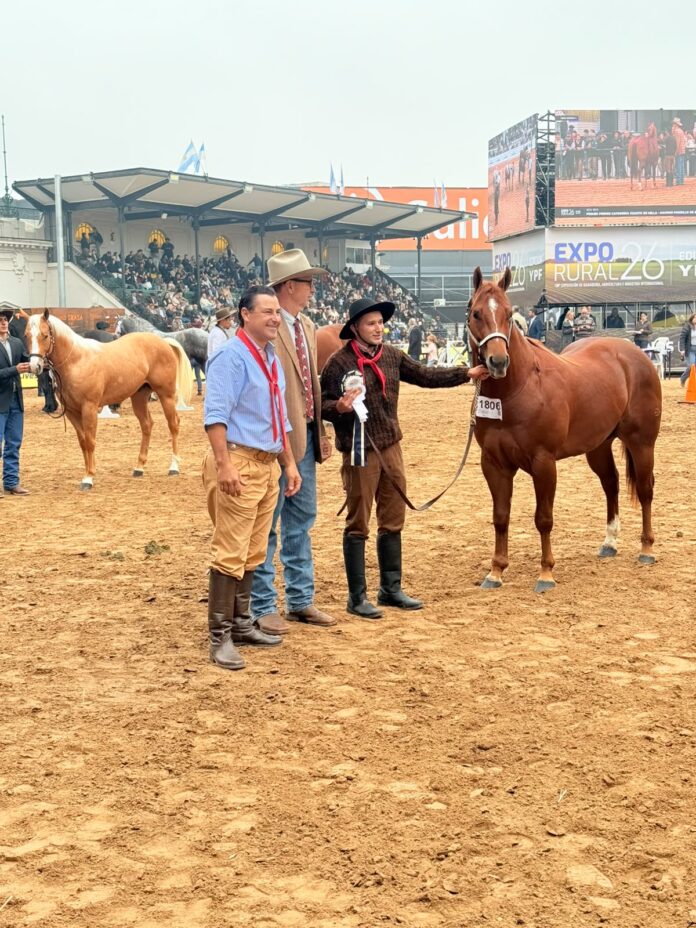 caballo