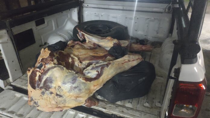 carne secuestrada
