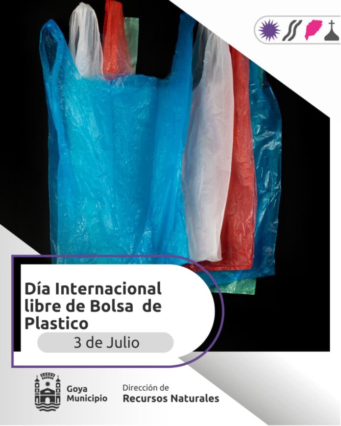 dia de las bolsas de plastico