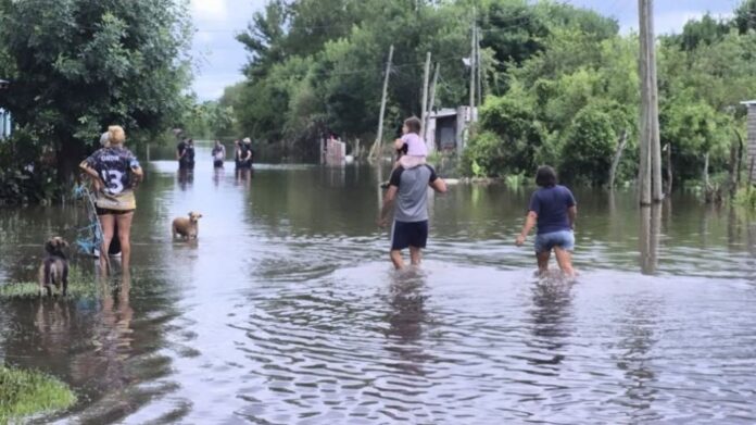 el niño