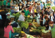 Encuentro de Ferias Francas en Corrientes: más de 400 productores llenarán de sabores el Parque Mitre