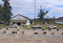 PASO DE LOS LIBRES: Detectaron millonario contrabando de cigarrillos oculto en encomiendas