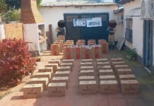 Incautan un millonario cargamento de cigarrillos, armas y hojas de coca