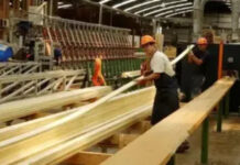 ASERRADEROS EN ALERTA: La industria maderera exige frenar la escalada en los costos de energía