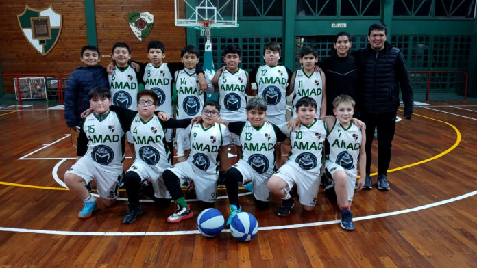 amad mini