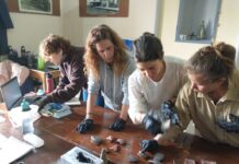 CONCURSO EMPRENDEDOR 2026Proyecto de activación patrimonial de la colección de Lilia Spinelli