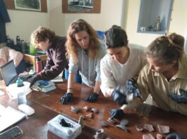 CONCURSO EMPRENDEDOR 2026Proyecto de activación patrimonial de la colección de Lilia Spinelli