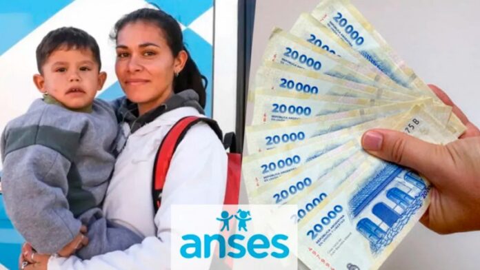 descarga - 2026-08-19T025855.948