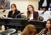 Diputados aprobó proyecto para prevenir suicidios en el Puente General Belgrano