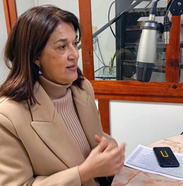 concejal calvi