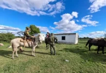 Docente desaparecida: rastrillan una zona de difícil acceso en Esquina