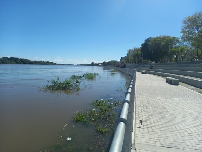 costanera goya