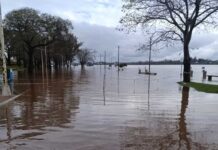 Los efectos de El Niño: hasta cuándo podría durar su impacto en la Argentina y la región