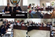 HCD DE GOYA:Aprueba la instalación de Arcos limitadores de altura, impone el nombre al Paseo Puerto Interior Goya y sancionó otras iniciativas