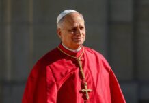El Vaticano dio detalles de la operación del papa León XIV y anticipó cómo sería su recuperación