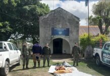 EN GOYA: Secuestraron carne vacuna sin documentación