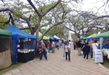 Mes de Goya: Se realizó la expo feria en plaza Mitre