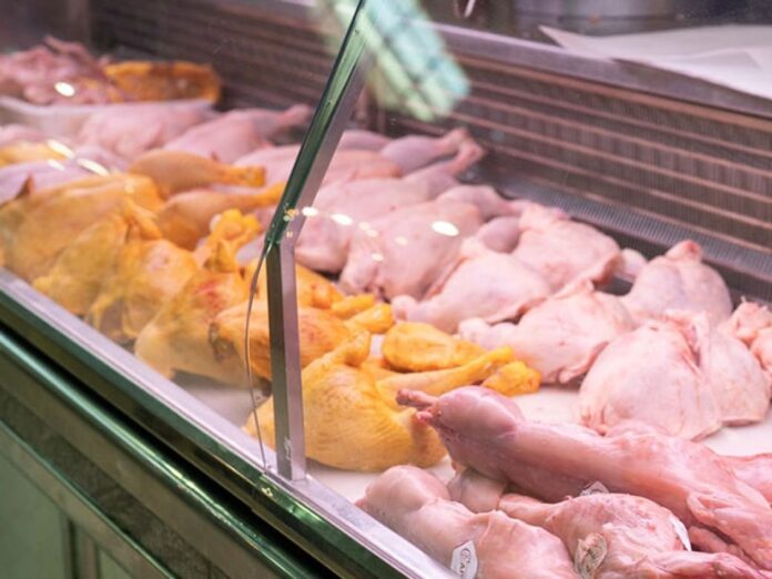 pollo